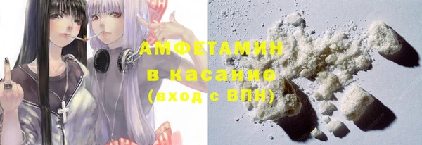 стафф Аркадак
