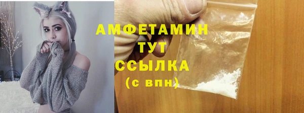 индика Арсеньев
