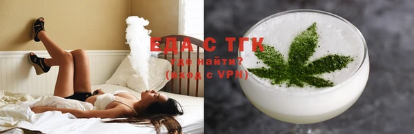 индика Арсеньев