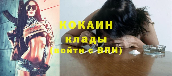 индика Арсеньев