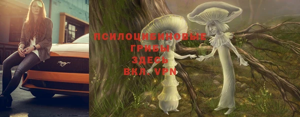 стафф Аркадак