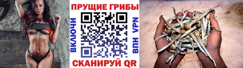 дарк нет Telegram Чердынь Псилоцибиновые грибы ЛСД где купить